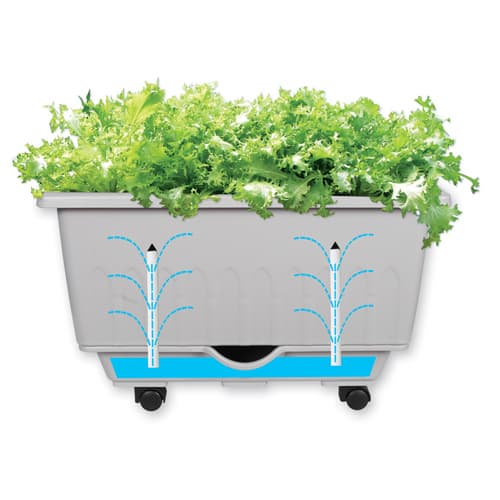 Self_Watering Planter for easy gardening
